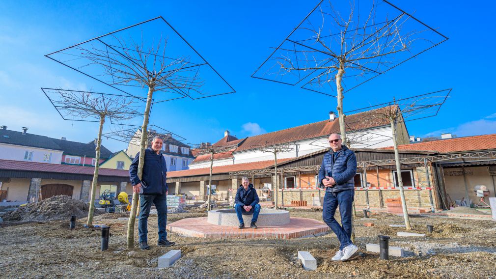 Ein wenig lässt sich schon die Schönheit des künftigen Alumnatsgartens erahnen. Die Planung fest im Blick haben Klaus Müller von der Stadtgärtnerei, Helmut Wiener vom Hochbau und Baudirektor Wolfgang Lengauer. (Foto: Arman Kalteis)