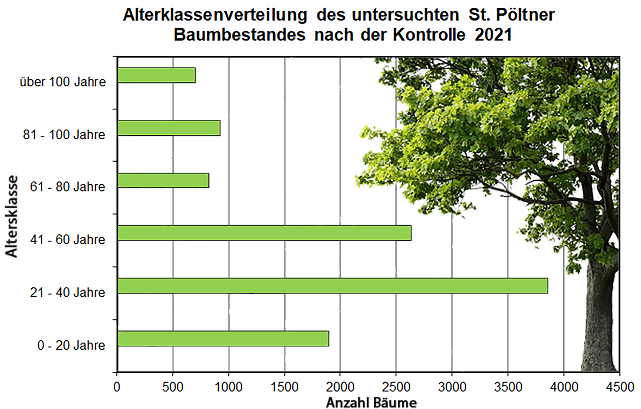 Grafik mit Graphen mit Baum