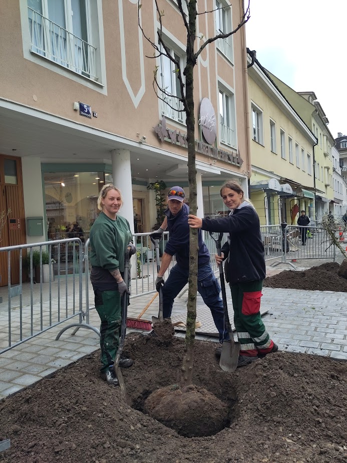 sk06 05 Schreinergasse Katharina Schrefl