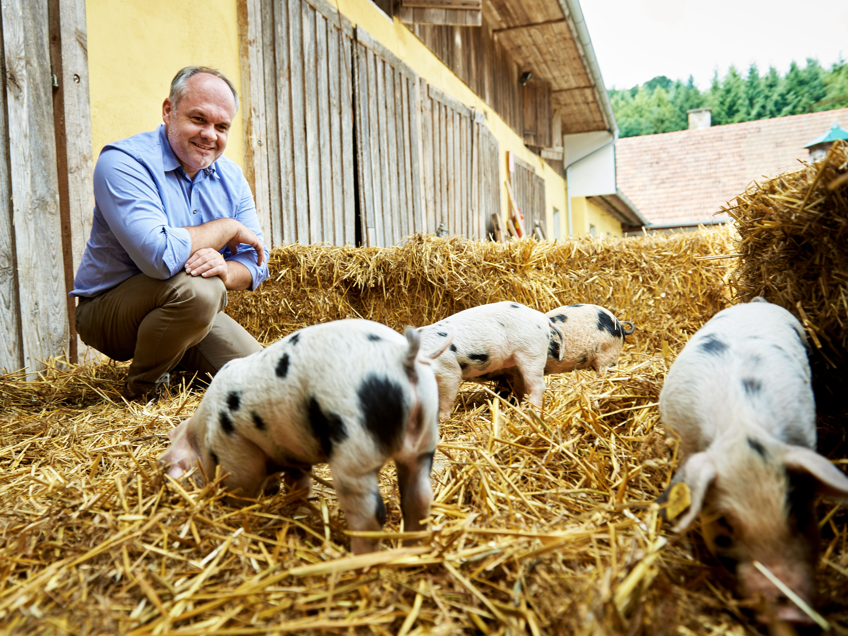 Energiesparmeister: CO2 neutrale Landwirtschaft in St. Pölten – St. Pölten