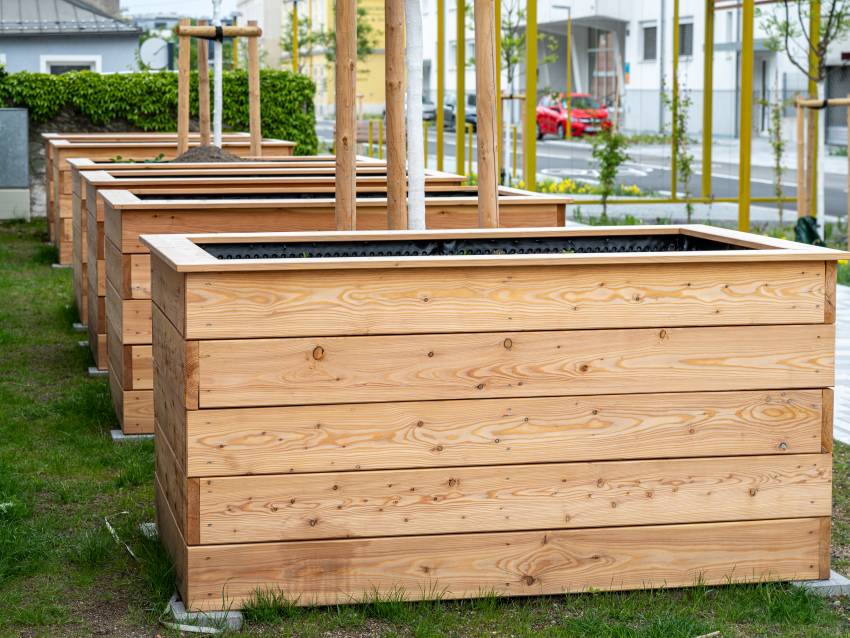 Ein Foto der Hochbeete gegenüber der Herz-Jesu-Kirche. (Foto: Christian Krückel)