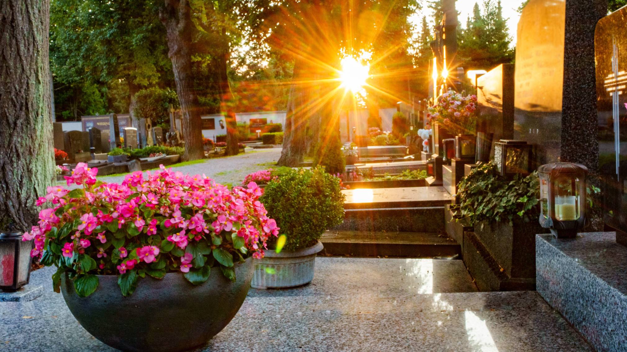 Stadtfriedhof St. Pölten. (Foto: Josef Bollwein)