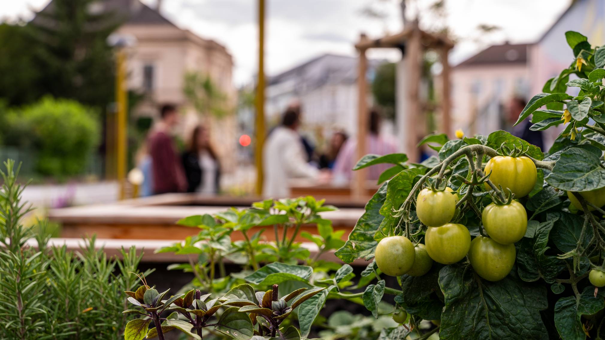 Ein Foto der Hochbeete gegenüber der Herz-Jesu-Kirche. (Foto: Christian Krückel)