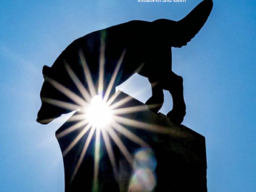 Plattform zur Bestform